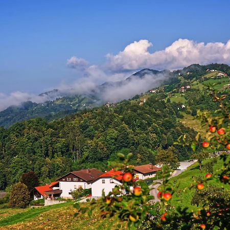 Farm Stay Pirc Laško Zewnętrze zdjęcie