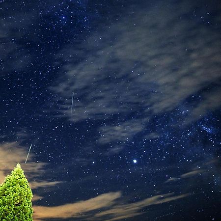 Farm Stay Pirc Laško Zewnętrze zdjęcie