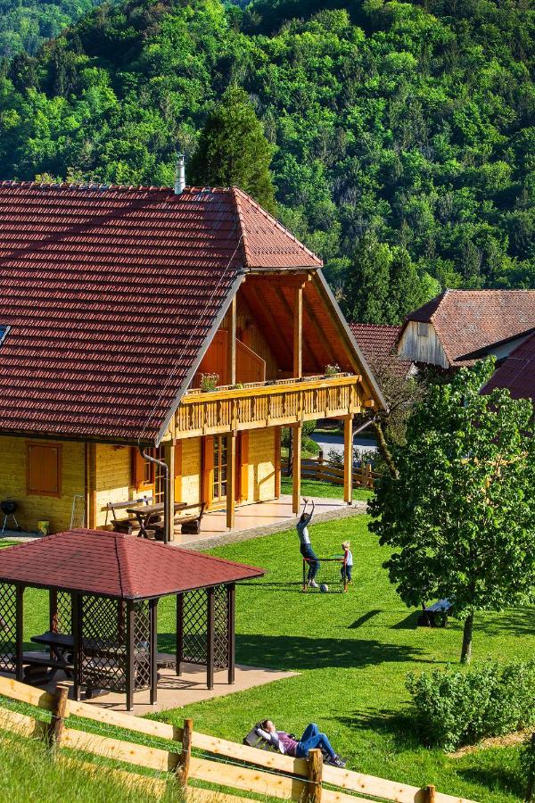Farm Stay Pirc Laško Zewnętrze zdjęcie