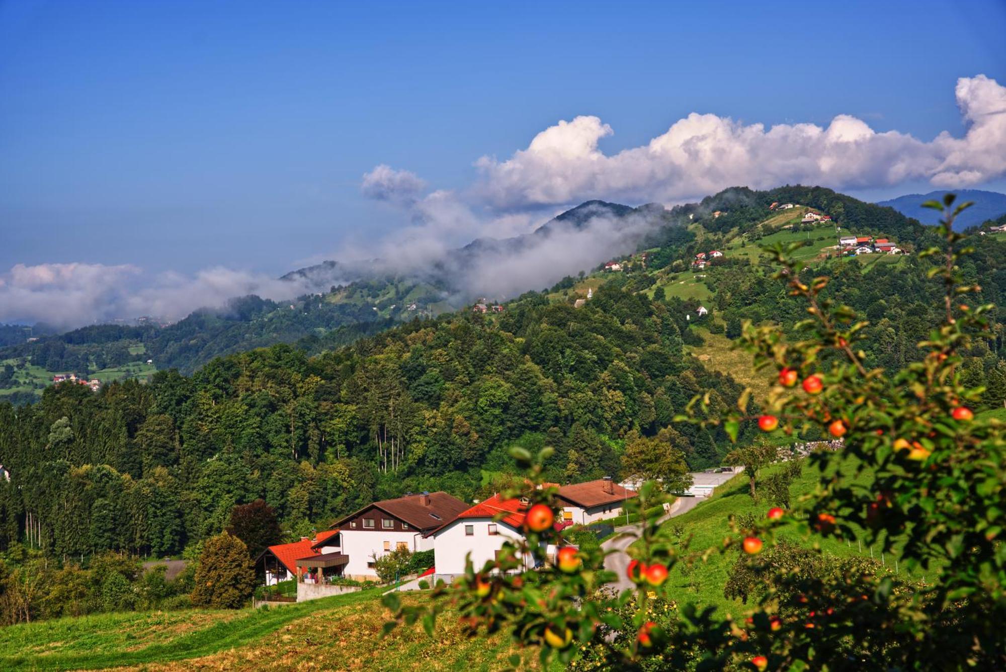 Farm Stay Pirc Laško Zewnętrze zdjęcie
