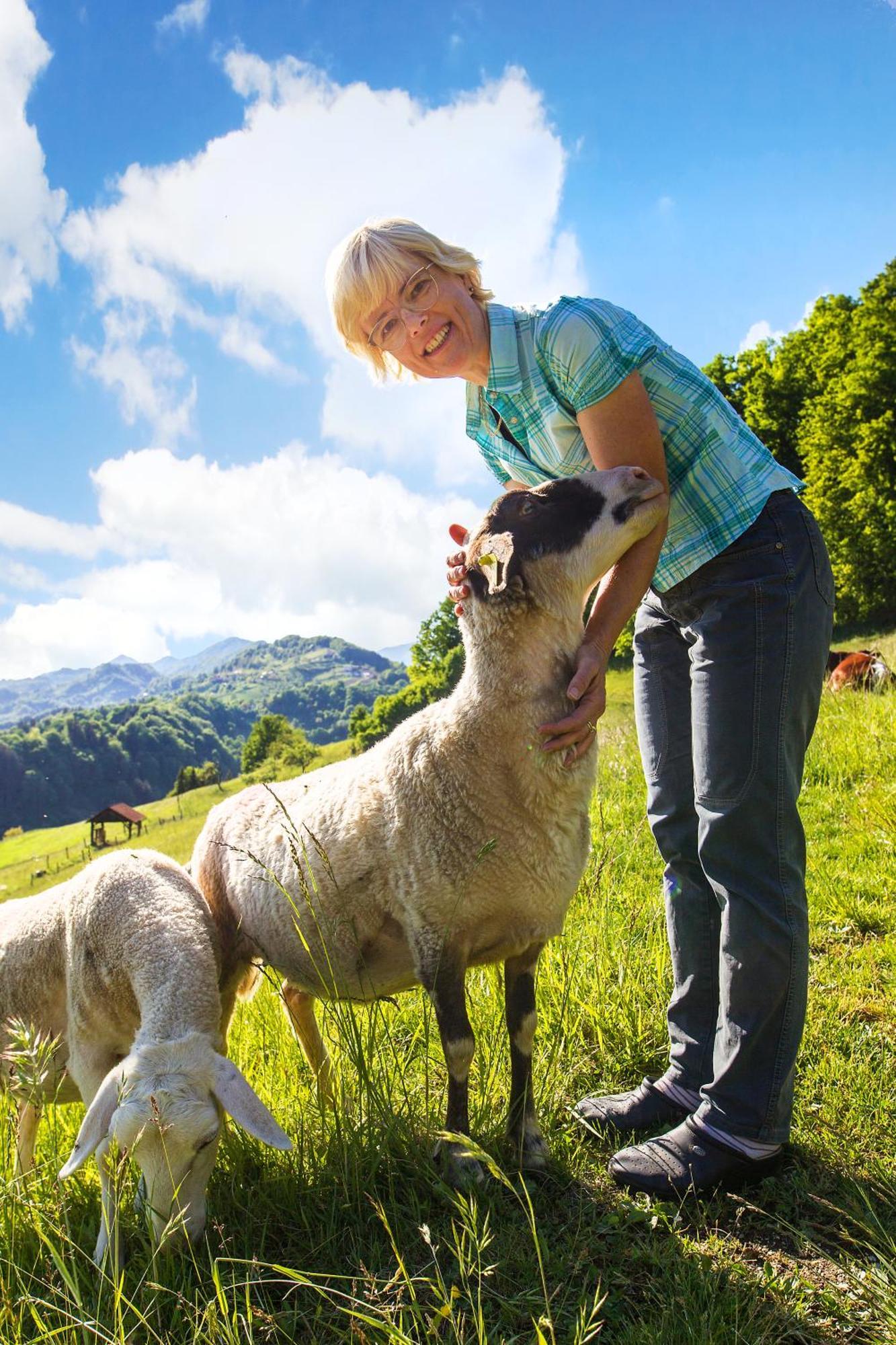 Farm Stay Pirc Laško Zewnętrze zdjęcie