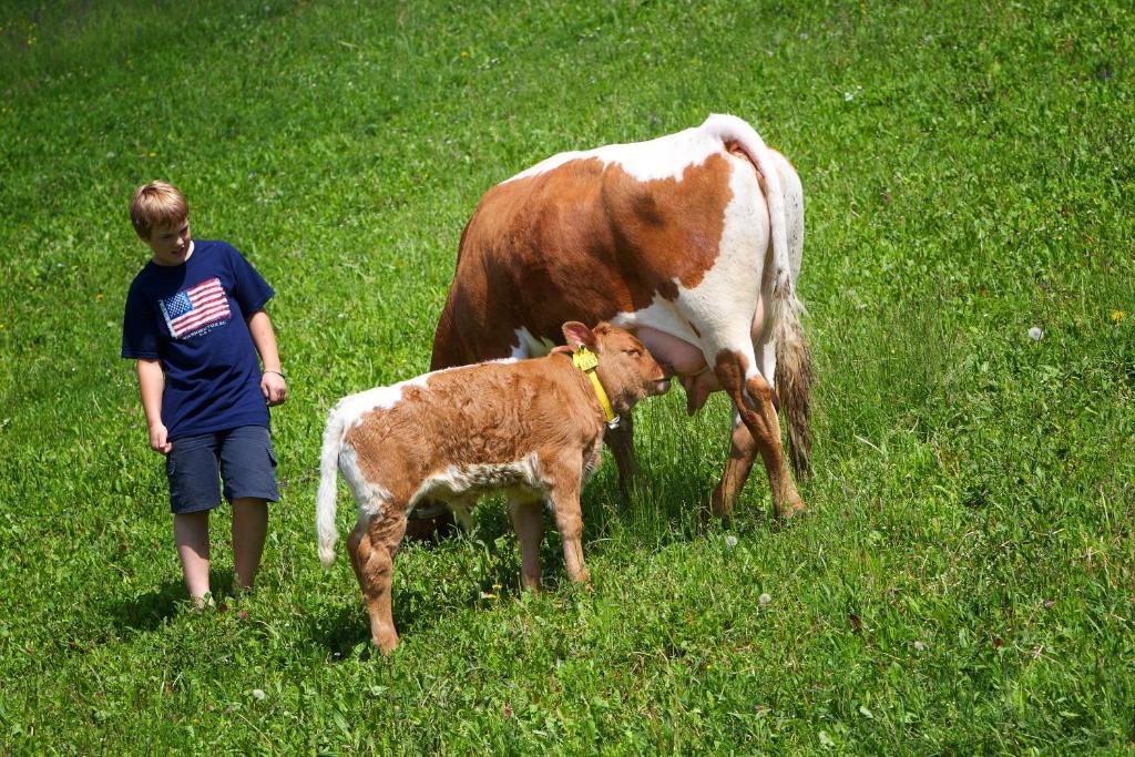 Farm Stay Pirc Laško Zewnętrze zdjęcie