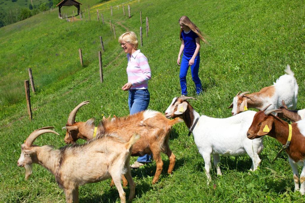 Farm Stay Pirc Laško Zewnętrze zdjęcie