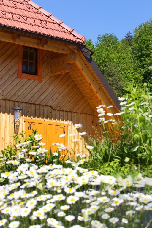 Farm Stay Pirc Laško Zewnętrze zdjęcie